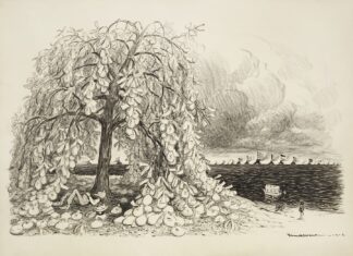 The plum tree. Who gets here first by William Henry Walker