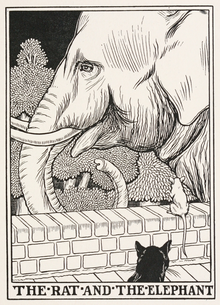 The Rat and the Elephant by Percy J. Billinghurst