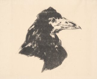 The Raven by Édouard Manet