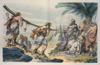 The return of the scouts by Udo Keppler