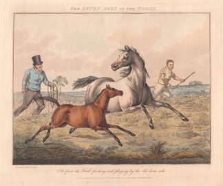 The Seven Ages of the Horse by Henry Thomas Alken