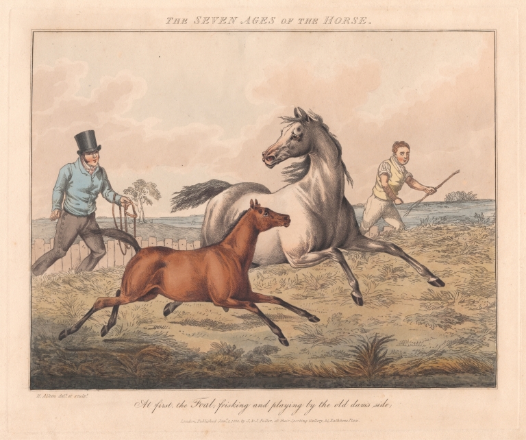 The Seven Ages of the Horse by Henry Thomas Alken