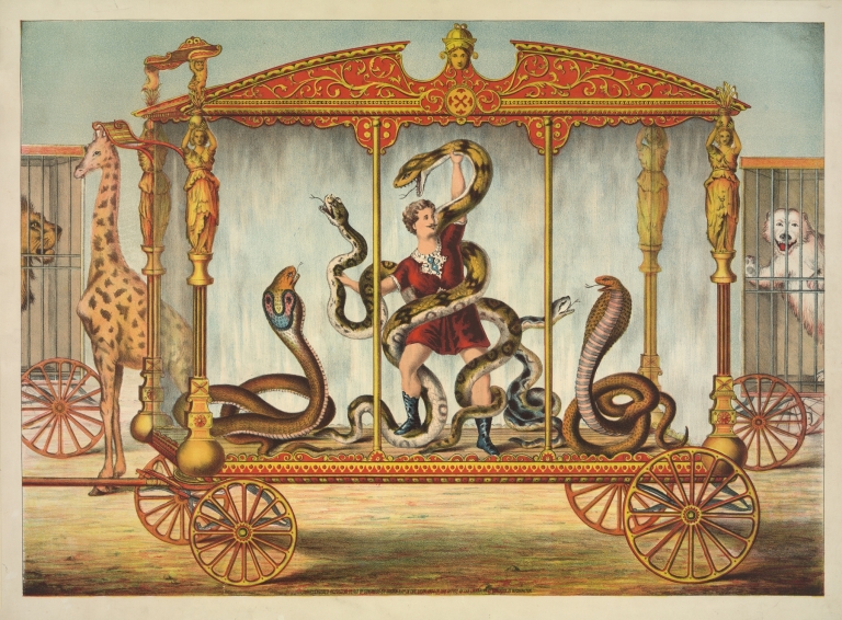 The snake wagon by Gibson & Co. Lith