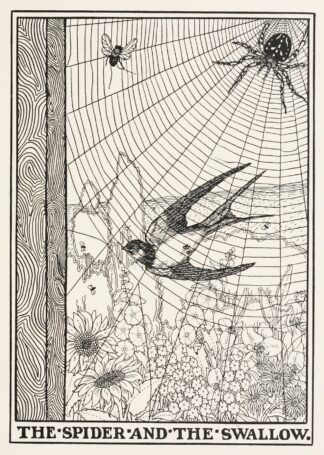 The Spider and the Swallow by Percy J. Billinghurst