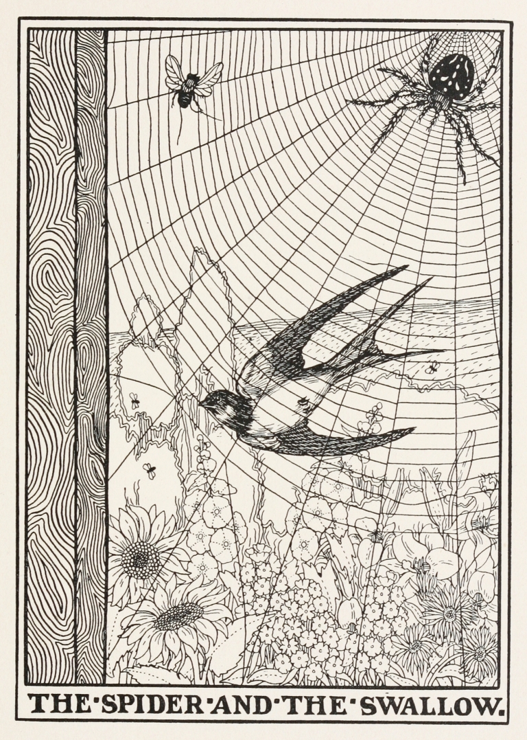 The Spider and the Swallow by Percy J. Billinghurst