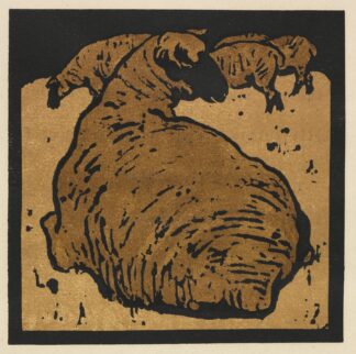 The Square Book of Animals; The Simple Sheep by William Nicholson