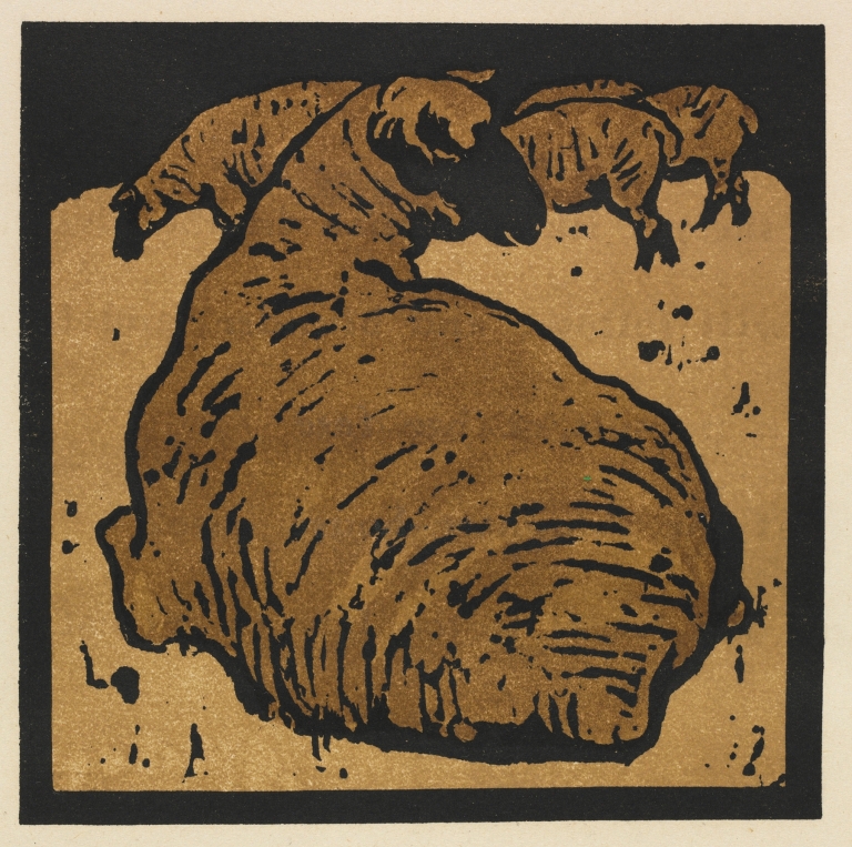 The Square Book of Animals; The Simple Sheep by William Nicholson