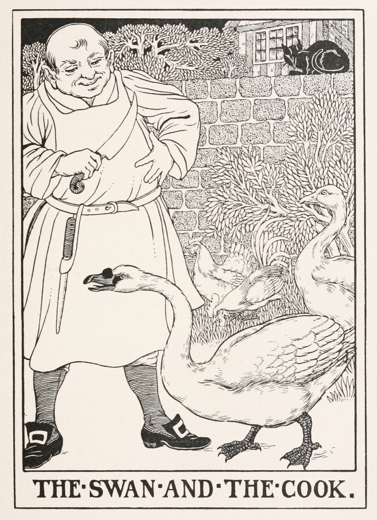The Swan and the Cook by Percy J. Billinghurst