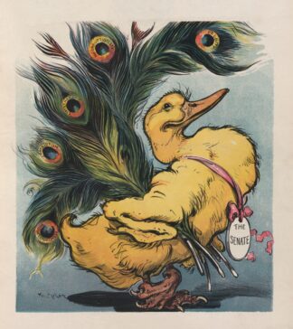 The ugly duckling by Udo Keppler