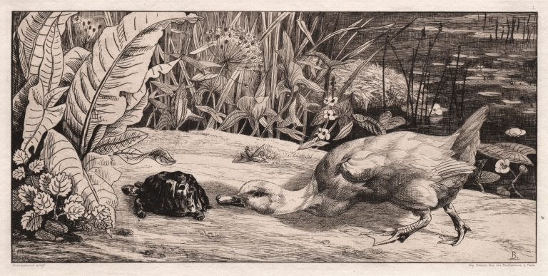 The Unknown by Félix Bracquemond