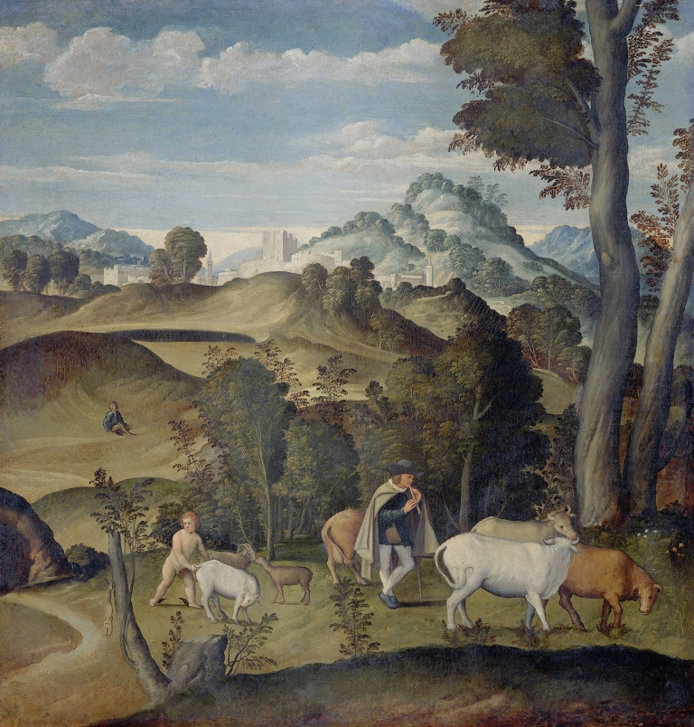 The Young Mercury Stealing Cattle from the Herd of Apollo by Girolamo da Santacroce