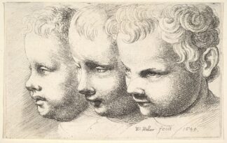 Three children’s heads by Wenceslaus Hollar