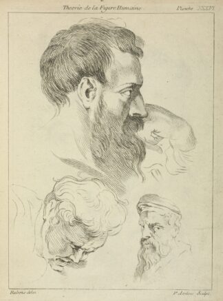 Three studies of men’s heads by Peter Paul Rubens