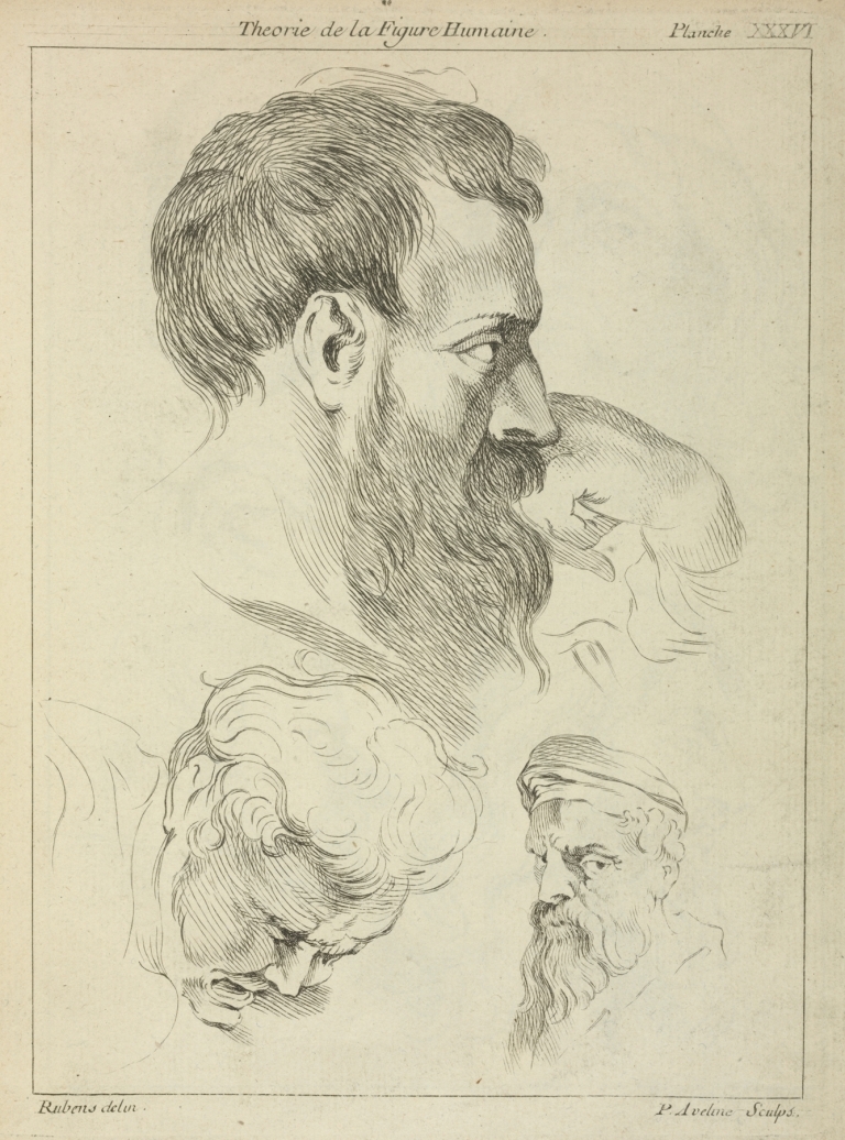 Three studies of men’s heads by Peter Paul Rubens