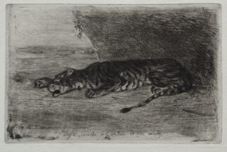 Tiger Sleeping at the Entrance to His Lair by Eugène Delacroix