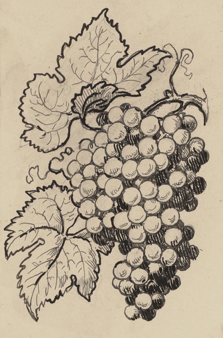 Traube by Hans Thoma