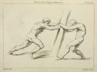 Two figures straining against a post by Peter Paul Rubens