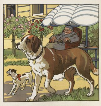 Unsere Haustiere Pl.13 by Fritz Gareis jr.