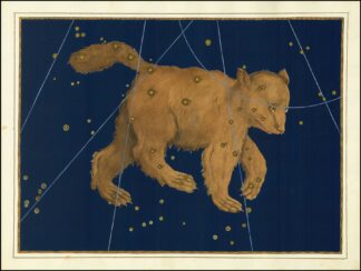 Ursa Major by Johann Bayer