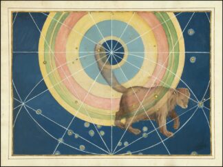 Ursa Minor by Johann Bayer
