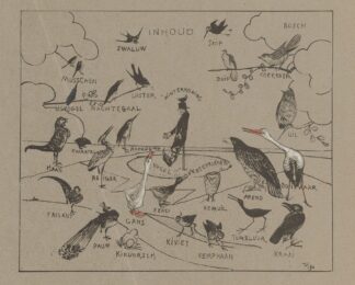 Verschillende vogelsoorten. by Theo van Hoytema