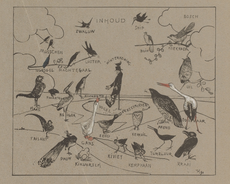 Verschillende vogelsoorten. by Theo van Hoytema