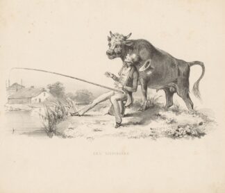 Visser schrikt van stier by Alexander Ver Huell