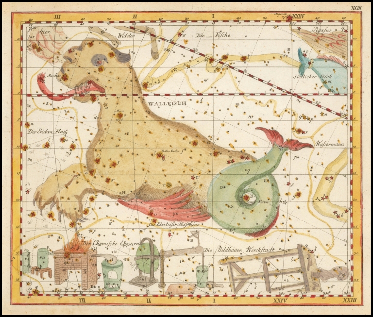 Wallfisch by Johann Elert Bode