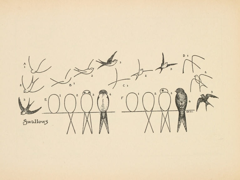 What to draw and how to draw it Pl.30 by Edwin George Lutz