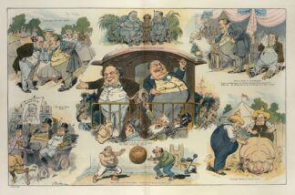 Why not introduce a little novelty into the campaign by John Samuel Pughe