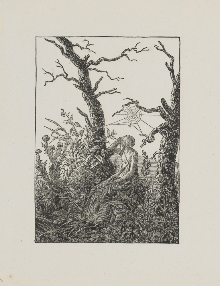 Woman with a Spiderweb by Caspar David Friedrich