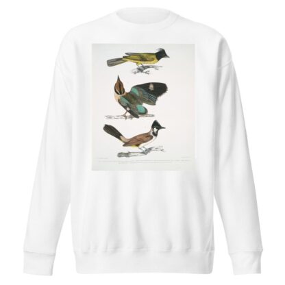 1. Black-headed Brachypus, Brachypus melanocephalus; 2. Short Tailed Pelta [Pitta], Pelta [Pitta] brachyura by John Edward Gray Sweatshirt