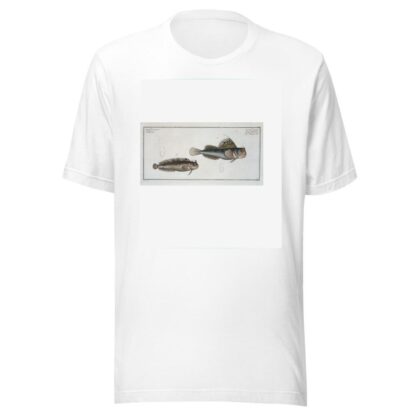 1. Blennius ocellaris, The Butterfly-fish; 2. Blennius Gattorugine. by Marcus Elieser Bloch T-Shirt