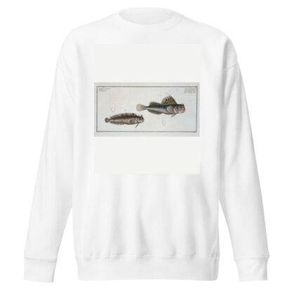1. Blennius ocellaris, The Butterfly-fish; 2. Blennius Gattorugine. by Marcus Elieser Bloch Sweatshirt