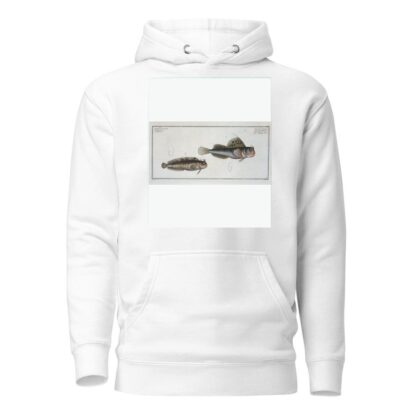 1. Blennius ocellaris, The Butterfly-fish; 2. Blennius Gattorugine. by Marcus Elieser Bloch Hoodie