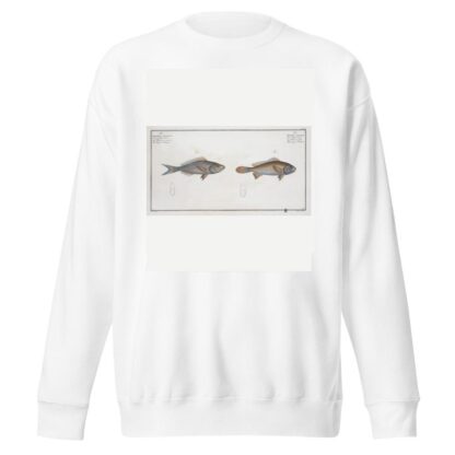 1. Bodianus stellifer, The starry Bodian; 2. Bodianus Argenteus, The Silver Bodian. by Marcus Elieser Bloch Sweatshirt