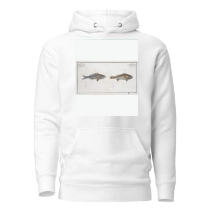1. Bodianus stellifer, The starry Bodian; 2. Bodianus Argenteus, The Silver Bodian. by Marcus Elieser Bloch Hoodie