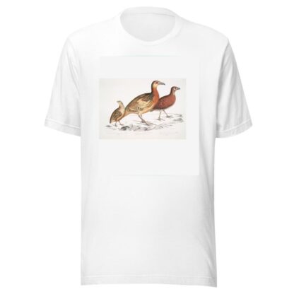 1. Ferrugineous Cryptonyx, Cryptonyx ferrugineus; 2. Long Billed Francolin, Francolinus longinostris by John Edward Gray T-Shirt