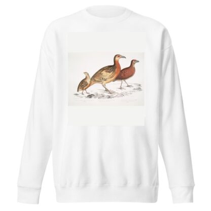 1. Ferrugineous Cryptonyx, Cryptonyx ferrugineus; 2. Long Billed Francolin, Francolinus longinostris by John Edward Gray Sweatshirt