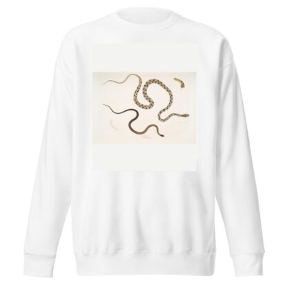 1. Gocool Dipsas. Dipsus [Dipsas] Gocool; 2. Black Headed Lycodon, Lycodon melanocephalus. by John Edward Gray Sweatshirt