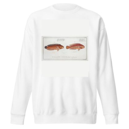 1. Labrus bivittatus, The double-Striped Wrasse; 2. Labrus macrolepidotus, The great-Scaled Wrasse. by Marcus Elieser Bloch Sweatshirt