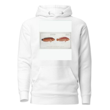 1. Labrus bivittatus, The double-Striped Wrasse; 2. Labrus macrolepidotus, The great-Scaled Wrasse. by Marcus Elieser Bloch Hoodie
