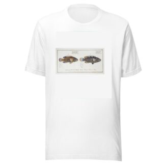 1. Labrus tesselatus, The wainscotted Wrasse; 2. Labrus quinquemaculatus,The five maculated Wrasse. by Marcus Elieser Bloch T-Shirt