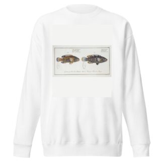 1. Labrus tesselatus, The wainscotted Wrasse; 2. Labrus quinquemaculatus,The five maculated Wrasse. by Marcus Elieser Bloch Sweatshirt