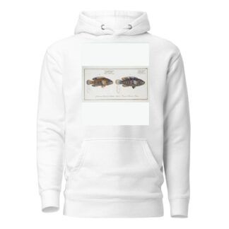 1. Labrus tesselatus, The wainscotted Wrasse; 2. Labrus quinquemaculatus,The five maculated Wrasse. by Marcus Elieser Bloch Hoodie