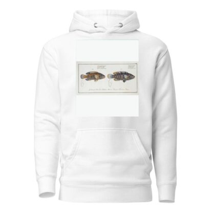 1. Labrus tesselatus, The wainscotted Wrasse; 2. Labrus quinquemaculatus,The five maculated Wrasse. by Marcus Elieser Bloch Hoodie