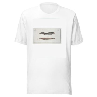 1. Ophidium Barbatum; 2. Ophidium aculeatum. by Marcus Elieser Bloch T-Shirt