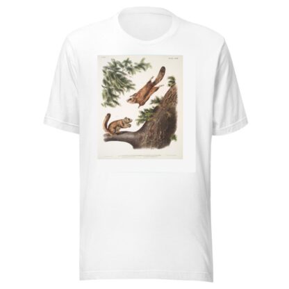 1. Pteromys sabrinus, Severn River Flying Squirrel; 2. Pteromys alpinus, Rocky Mountain Squirrel. by John Woodhouse Audubon T-Shirt
