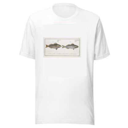 1. Sciaena Mauritii, The Guaru; 2. Sciaena Coro, The Coro. by Marcus Elieser Bloch T-Shirt