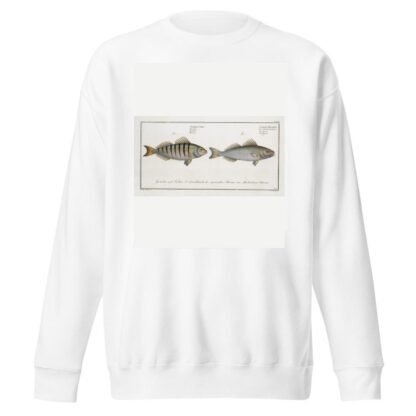 1. Sciaena Mauritii, The Guaru; 2. Sciaena Coro, The Coro. by Marcus Elieser Bloch Sweatshirt